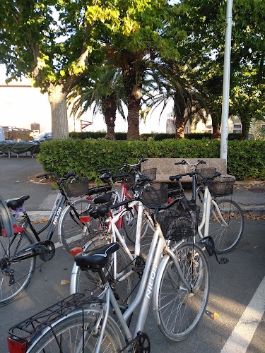 Foto Noleggio e Assistenza Biciclette Bolle di Sapone