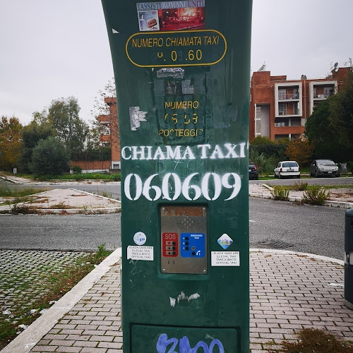 Foto Stazione Taxi Pratolungo Casal Monastero