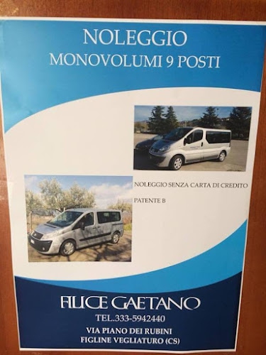 Foto Noleggio Auto Cosenza Filice