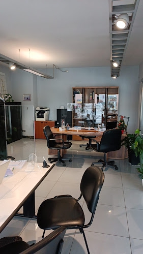 Foto Corma Service Autonoleggio