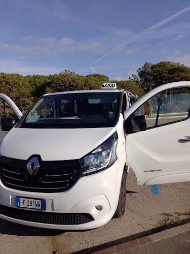 Foto Taxi Marino Ossetti