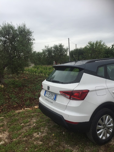 Foto Budget Autonoleggio
