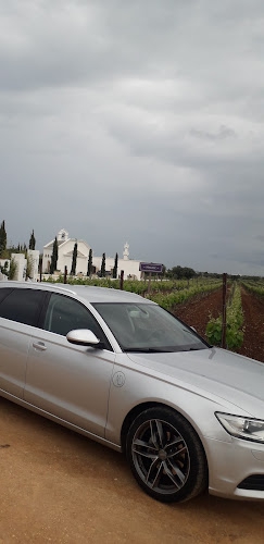 Foto Taxi NCC Polignano Your driver in Puglia di Danilo Del core