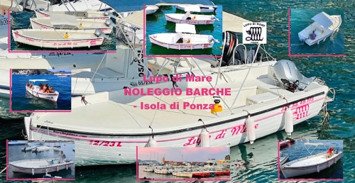 Foto Lupo di mare - Noleggio Barche e Gommoni