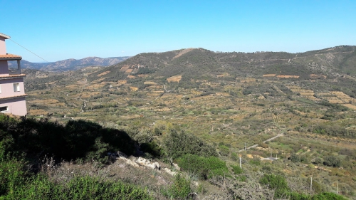 Foto Autonoleggio - Ncc - Lobina Di Ivan Lobina