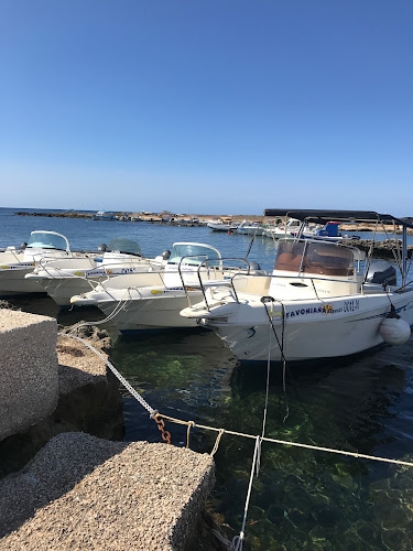 Foto Noleggio Barche e Gommoni Favignana??