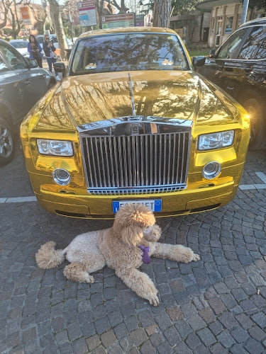 Foto Taxi