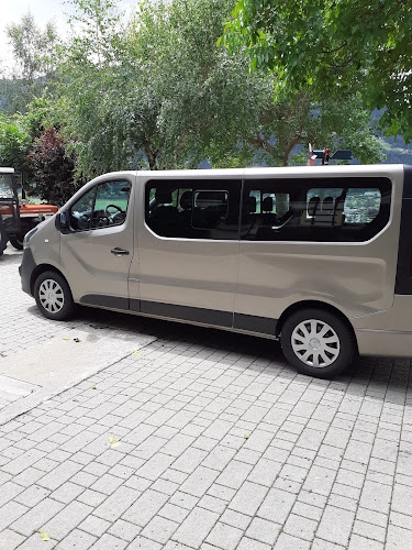 Foto Taxi Walter Sterzing