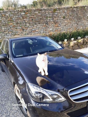 Foto Arezzo Transfer & Taxi