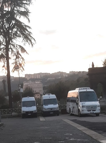 Foto Polese Tour NCC TAXI Ercolano