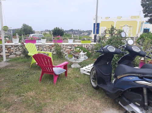 Foto Noleggio Scooter MOSCONE ponza le forna
